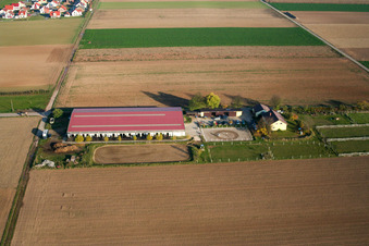Vue d'oiseau de Centre équestre Fohlenhof à Steinweiler dans le département Rhénanie-Palatinat, Allemagne