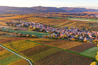 Photographie aérienne de Ville du sud-est à Niederhorbach dans le département Rhénanie-Palatinat, Allemagne