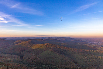 Vue aérienne de Parapentes au-dessus de la forêt du Palatinat à Oberotterbach dans le département Rhénanie-Palatinat, Allemagne