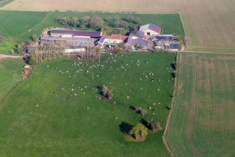 Vue aérienne de Ferme Karleskind Guy à Gros-Réderching dans le département Moselle, France