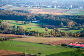 Vue aérienne de Manoir du nord à Erlenbach bei Kandel dans le département Rhénanie-Palatinat, Allemagne