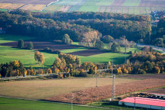 Vue aérienne de Antenne-relais de téléphonie mobile à la ferme avicole à Erlenbach bei Kandel dans le département Rhénanie-Palatinat, Allemagne