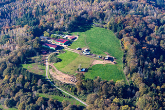 Vue aérienne de SV Roi Ludwig 1906 eV Lautzkirchen à le quartier Lautzkirchen in Blieskastel dans le département Sarre, Allemagne