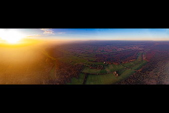 Vue aérienne de Plaine d'Otterbach à la limite nord du Bienwald entre Minfeld et Kandel à Kandel dans le département Rhénanie-Palatinat, Allemagne