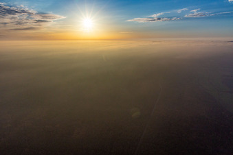 Vue aérienne de Brume du soir sur le Bienwald à le quartier Büchelberg in Wörth am Rhein dans le département Rhénanie-Palatinat, Allemagne