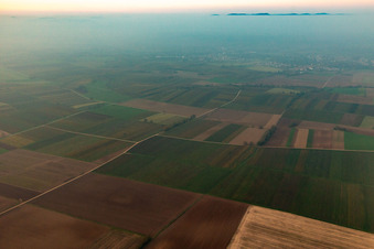 Quartier Mühlhofen in Billigheim-Ingenheim dans le département Rhénanie-Palatinat, Allemagne d'un drone