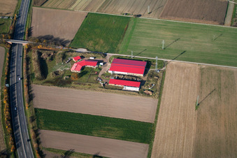 Ferme avicole et ferme d'œufs à Erlenbach bei Kandel dans le département Rhénanie-Palatinat, Allemagne vue d'en haut