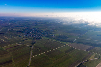 Vue aérienne de Bienwald sous les nuages à Dierbach dans le département Rhénanie-Palatinat, Allemagne
