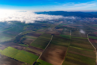 Vue aérienne de L'Alsace au Silence sous les Nuages à le quartier Deutschhof in Kapellen-Drusweiler dans le département Rhénanie-Palatinat, Allemagne