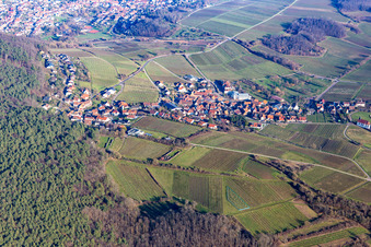 Vue aérienne de Village viticole au bord du Haardt vu du sud-ouest à le quartier Gleiszellen in Gleiszellen-Gleishorbach dans le département Rhénanie-Palatinat, Allemagne