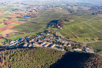 Vue aérienne de Clinique du Palatinat vue de l'ouest à Klingenmünster dans le département Rhénanie-Palatinat, Allemagne