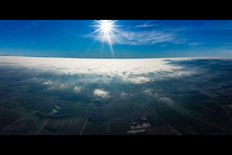 Vue aérienne de Couverture nuageuse du Bienwald à Freckenfeld dans le département Rhénanie-Palatinat, Allemagne