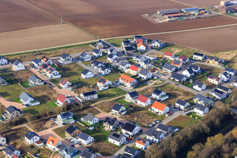 Vue aérienne de Chemin des violettes, chemin des jonquilles à Kandel dans le département Rhénanie-Palatinat, Allemagne