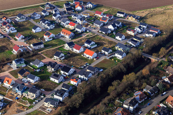 Vue aérienne de Chemin des tulipes, chemin des roses à Kandel dans le département Rhénanie-Palatinat, Allemagne
