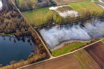 Vue aérienne de Prairies inondées gelées à Rülzheim dans le département Rhénanie-Palatinat, Allemagne