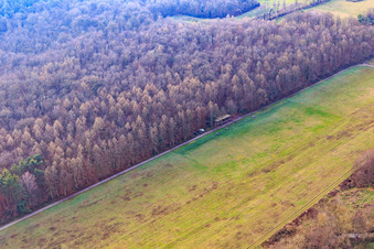 Vue aérienne de MSV Rülzheim eV à Rülzheim dans le département Rhénanie-Palatinat, Allemagne