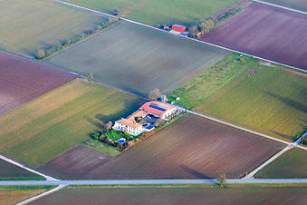 Domaine viticole Bioland Neuspergerhof à Rohrbach dans le département Rhénanie-Palatinat, Allemagne depuis l'avion