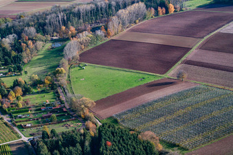 Vue oblique de Pâturage à Rohrbach dans le département Rhénanie-Palatinat, Allemagne