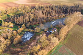 Vue aérienne de ASV Clear Water Insheim au Quodbach en hiver à Insheim dans le département Rhénanie-Palatinat, Allemagne
