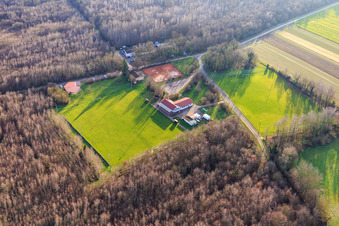 Vue aérienne de Terrain de football et stand de tir Steinweiler dans la forêt à Steinweiler dans le département Rhénanie-Palatinat, Allemagne