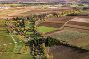 ASV Clear Water dans le Quodbachtal à la Fischerhütte à Insheim dans le département Rhénanie-Palatinat, Allemagne hors des airs