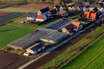 Vue aérienne de Ancienne crèche sur Grasweg à Winden dans le département Rhénanie-Palatinat, Allemagne