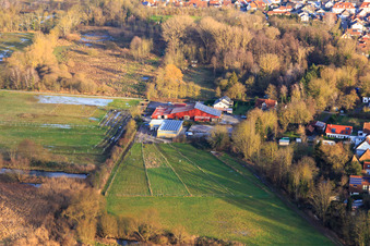 Vue aérienne de Weberhof sur la Washgasse à Billigheim-Ingenheim dans le département Rhénanie-Palatinat, Allemagne