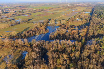 Vue aérienne de Étangs à poissons gelés au bord du Bienwald à Steinfeld dans le département Rhénanie-Palatinat, Allemagne