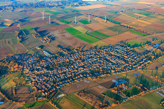 Vue aérienne de Parc éolien en hiver à Minfeld dans le département Rhénanie-Palatinat, Allemagne