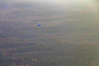Vue aérienne de Avion de sport D-MFFA au-dessus du Bienwald à le quartier Büchelberg in Wörth am Rhein dans le département Rhénanie-Palatinat, Allemagne