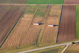 Vue aérienne de Poulaillers mobiles à Offenbach an der Queich dans le département Rhénanie-Palatinat, Allemagne