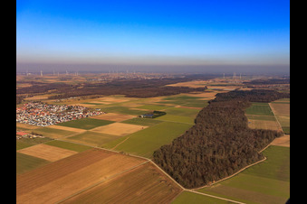 Vue aérienne de Vue de la ville depuis l'ouest à Steinweiler dans le département Rhénanie-Palatinat, Allemagne