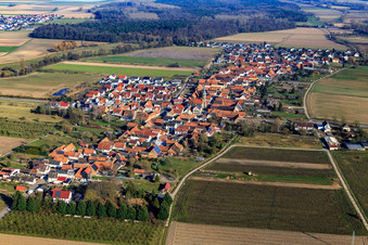 Vue aérienne de Vue du village depuis l'ouest à Erlenbach bei Kandel dans le département Rhénanie-Palatinat, Allemagne