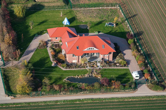 Vue d'oiseau de Culture de légumes - Dieter Stubenbordt à Zeiskam dans le département Rhénanie-Palatinat, Allemagne