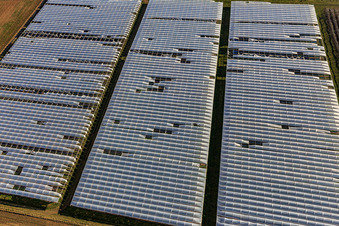 Vue aérienne de Culture agricole sous serres tunnel à Insheim dans le département Rhénanie-Palatinat, Allemagne