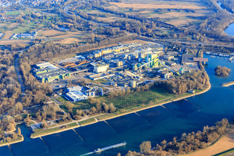 Vue aérienne de Maxauer Papierfabrik GmbH et Borregaard Deutschland GmbH sur les rives du Rhin depuis le nord-ouest à le quartier Knielingen in Karlsruhe dans le département Bade-Wurtemberg, Allemagne