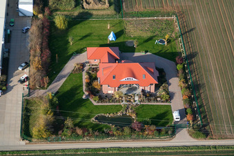 Image drone de Culture de légumes - Dieter Stubenbordt à Zeiskam dans le département Rhénanie-Palatinat, Allemagne