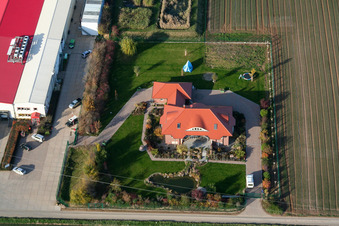 Culture de légumes - Dieter Stubenbordt à Zeiskam dans le département Rhénanie-Palatinat, Allemagne du point de vue du drone