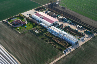Culture de légumes - Dieter Stubenbordt à Zeiskam dans le département Rhénanie-Palatinat, Allemagne d'un drone
