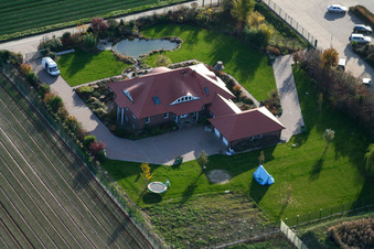 Vue aérienne de Culture de légumes - Dieter Stubenbordt à Zeiskam dans le département Rhénanie-Palatinat, Allemagne