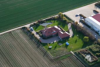 Photographie aérienne de Culture de légumes - Dieter Stubenbordt à Zeiskam dans le département Rhénanie-Palatinat, Allemagne