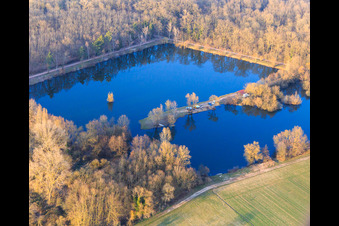 Vue aérienne de Lac de l'Ours à Ottersheim bei Landau dans le département Rhénanie-Palatinat, Allemagne