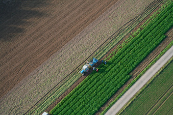 Vue aérienne de Tracteur récoltant des légumes dans les champs agricoles à Böbingen dans le département Rhénanie-Palatinat, Allemagne