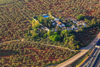 Vue aérienne de Hacienda nueva del Rosario entre les plantations d'oliviers à Dos Hermanas dans le département Séville, Espagne