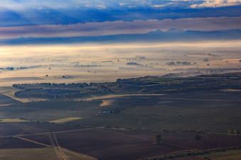 Vue aérienne de Plantations d'oliviers dans la brume matinale à Alcalá de Guadaíra dans le département Séville, Espagne