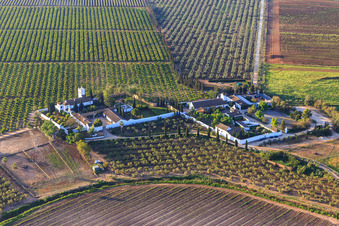 Vue aérienne de Hacienda de Clarevot entre les plantations d'oliviers à Alcalá de Guadaíra dans le département Séville, Espagne