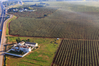 Vue aérienne de Hacienda Menaca entre les plantations d'oliviers sur l'autoroute A-4 del Sur à Dos Hermanas dans le département Séville, Espagne