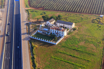 Photographie aérienne de Hacienda Menaca entre les plantations d'oliviers sur l'autoroute A-4 del Sur à Dos Hermanas dans le département Séville, Espagne