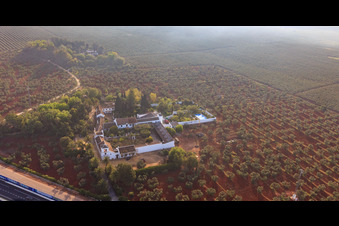 Vue aérienne de Hacienda nueva del Rosario entre les plantations d'oliviers sur l'autoroute A-4 del Sur à Dos Hermanas dans le département Séville, Espagne