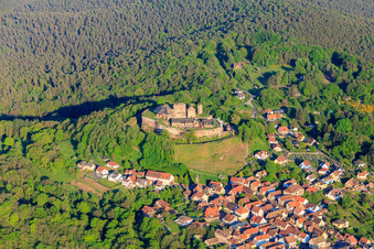 Vue aérienne de Château de Lichtenberg vu du nord-ouest à Lichtenberg dans le département Bas Rhin, France